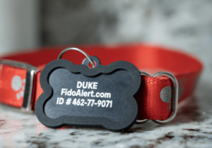 Free Custom Pet Id Tags With Free Shipping